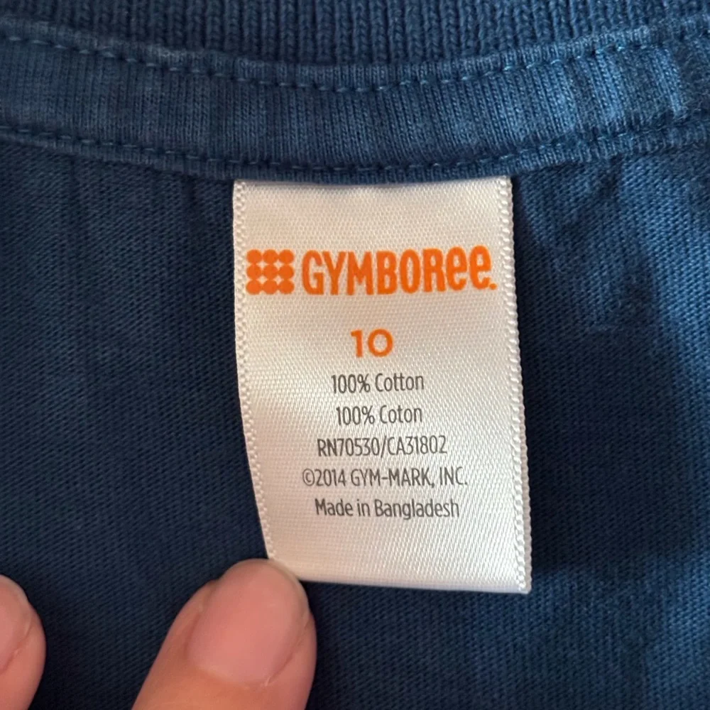 Gymboree Blue Kids Shirt with Graphic